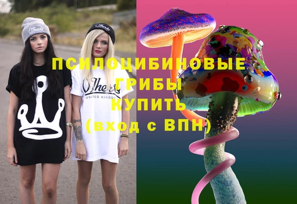 спайс Богородск