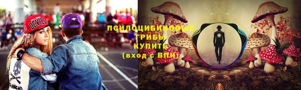 скорость Богданович