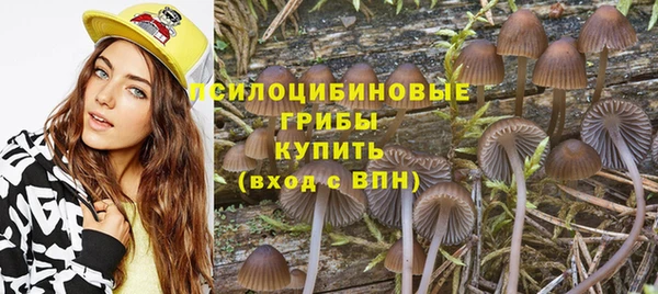 скорость Богданович