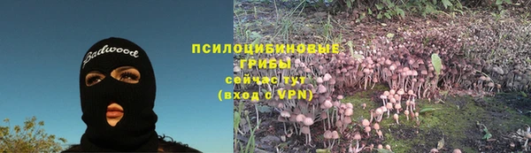 спайс Богородск