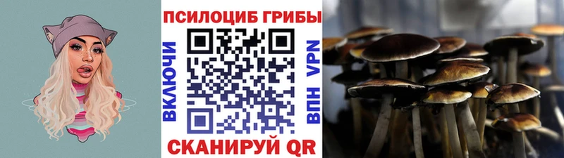 Галлюциногенные грибы GOLDEN TEACHER  Купить  Уяр 